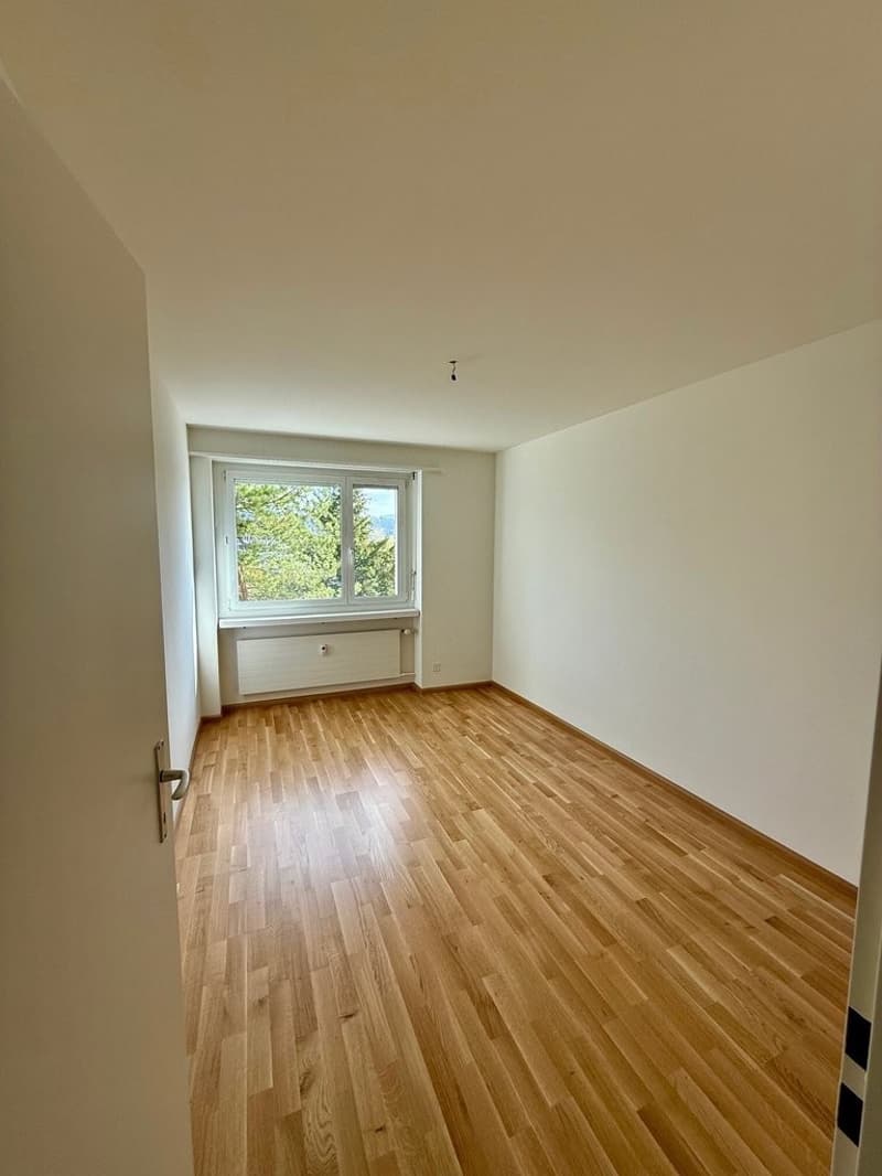 Zimmer_2.jpg