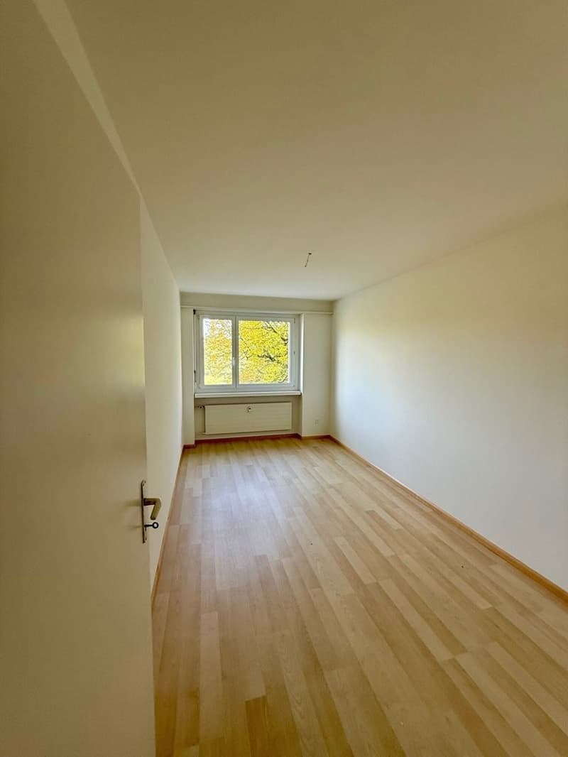 Zimmer_1.jpg