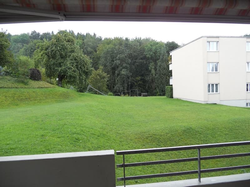 Ausblick