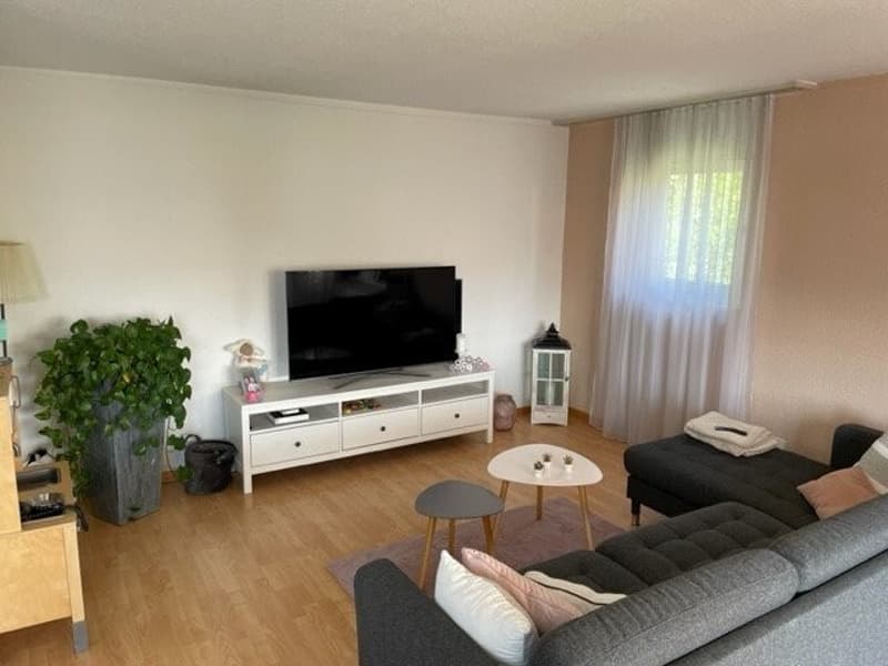 Bild4.jpg