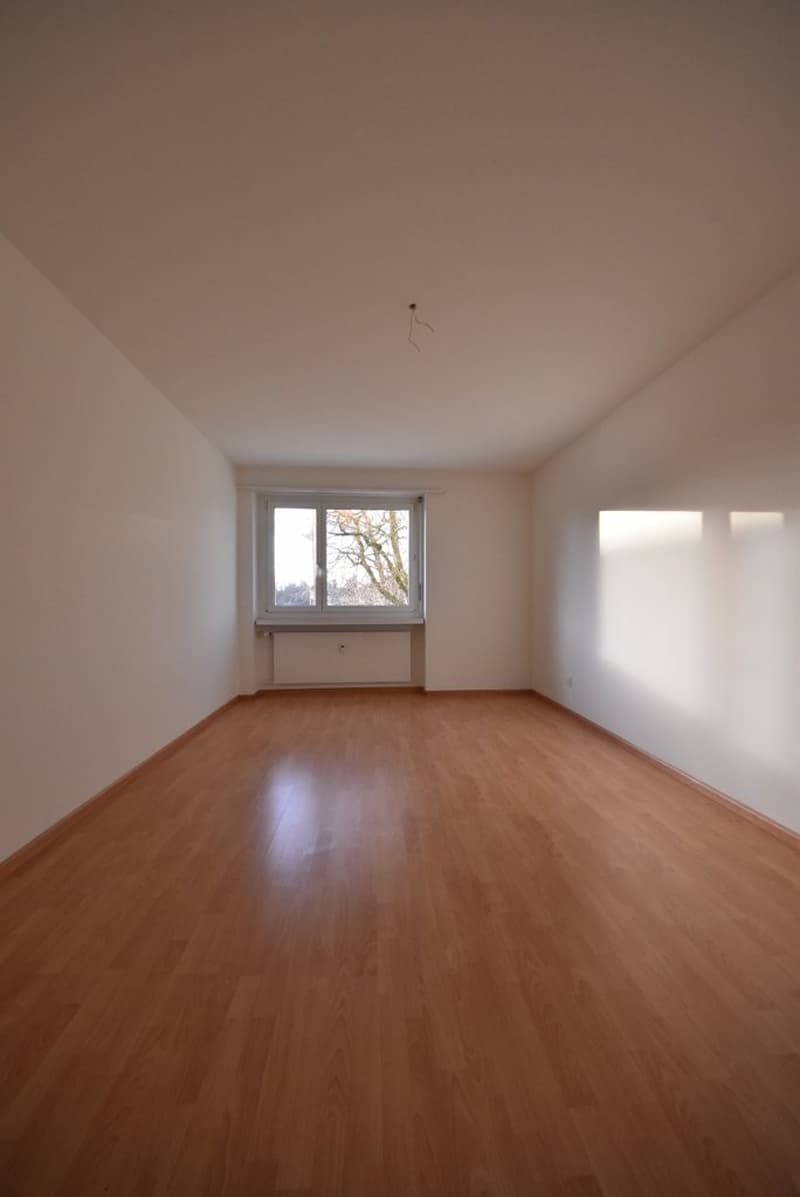 Zimmer