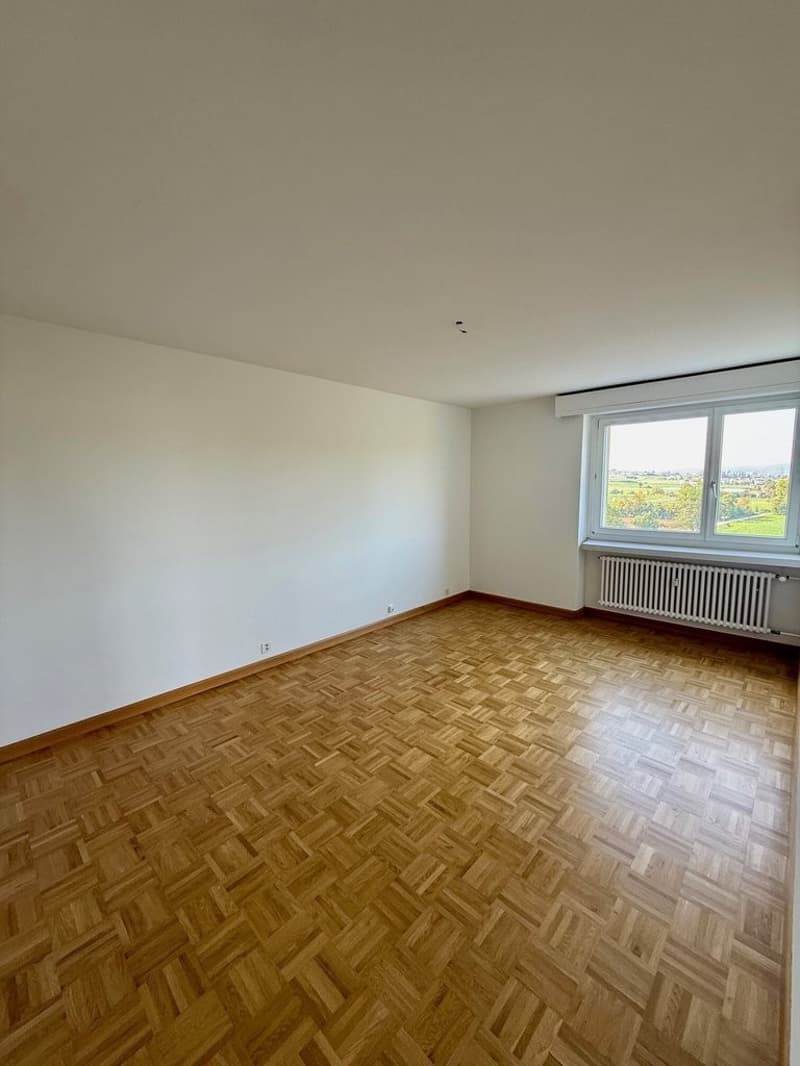 Zimmer