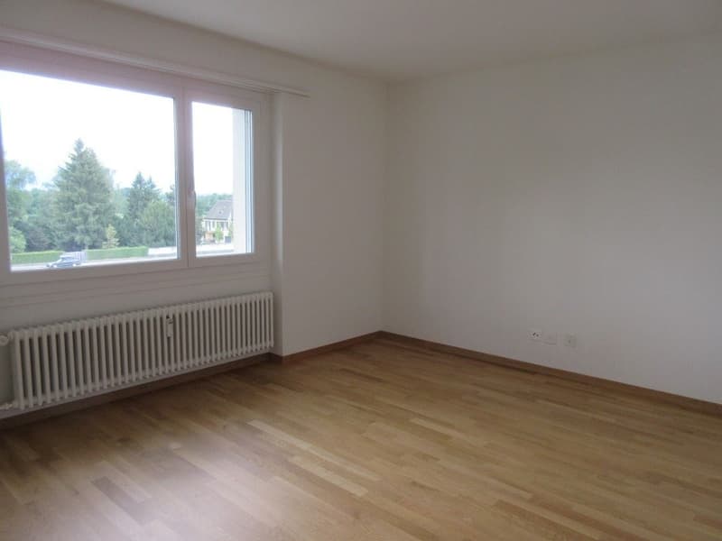 Zimmer