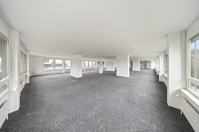 Espace pour les idées, la croissance et la collaboration - Bureau près de la ville de Berne (3)