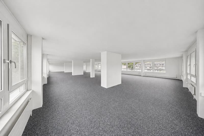 Espace pour les idées, la croissance et la collaboration - Bureau près de la ville de Berne (4)