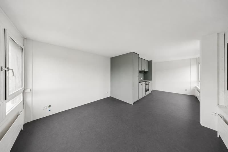 Ampio e funzionale - studio moderno nella città (4)
