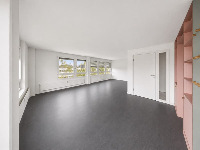 Ampio e funzionale - studio moderno in città (4)