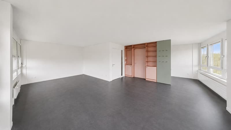Ampio e funzionale - studio moderno in città (2)