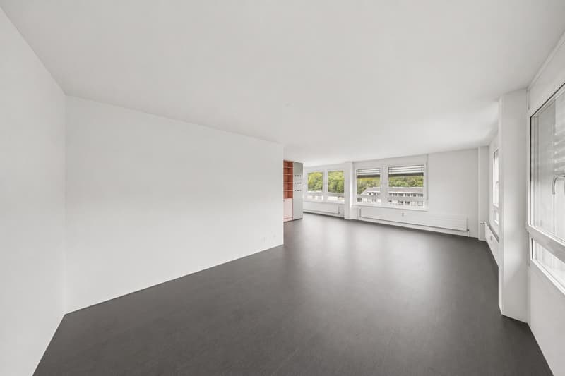 Ampio e funzionale - studio moderno in città (5)