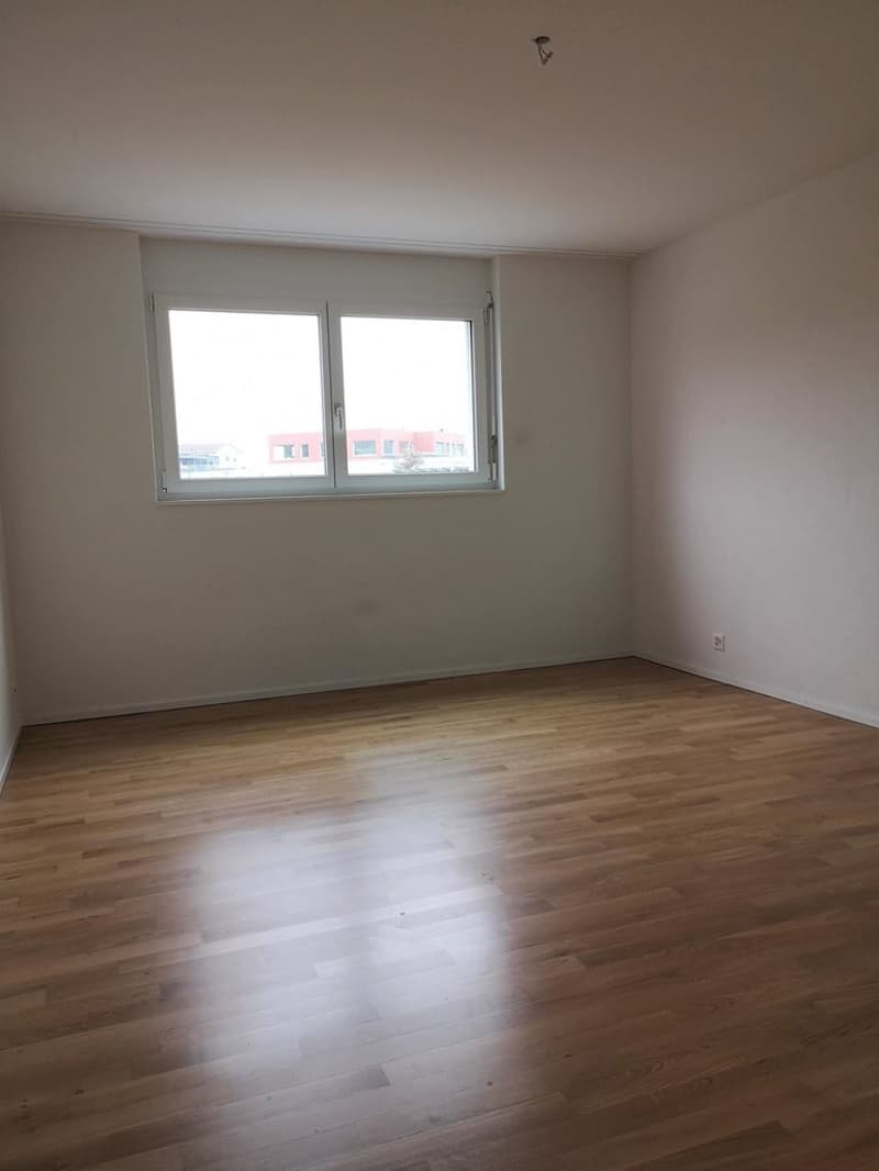 Zimmer