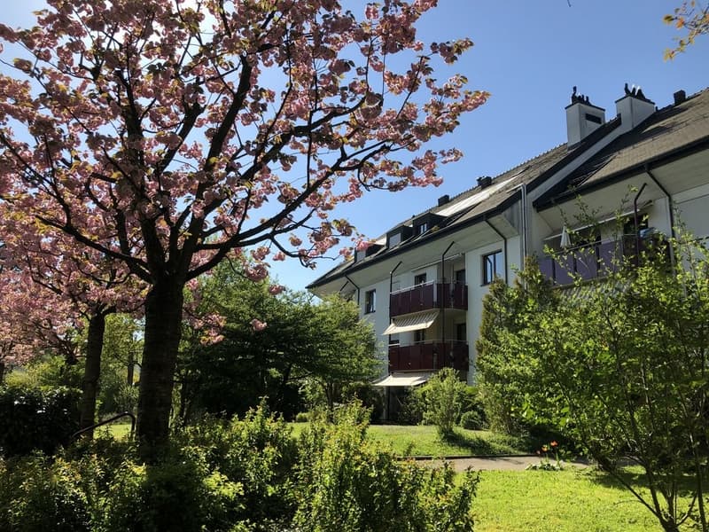 Aussenansicht