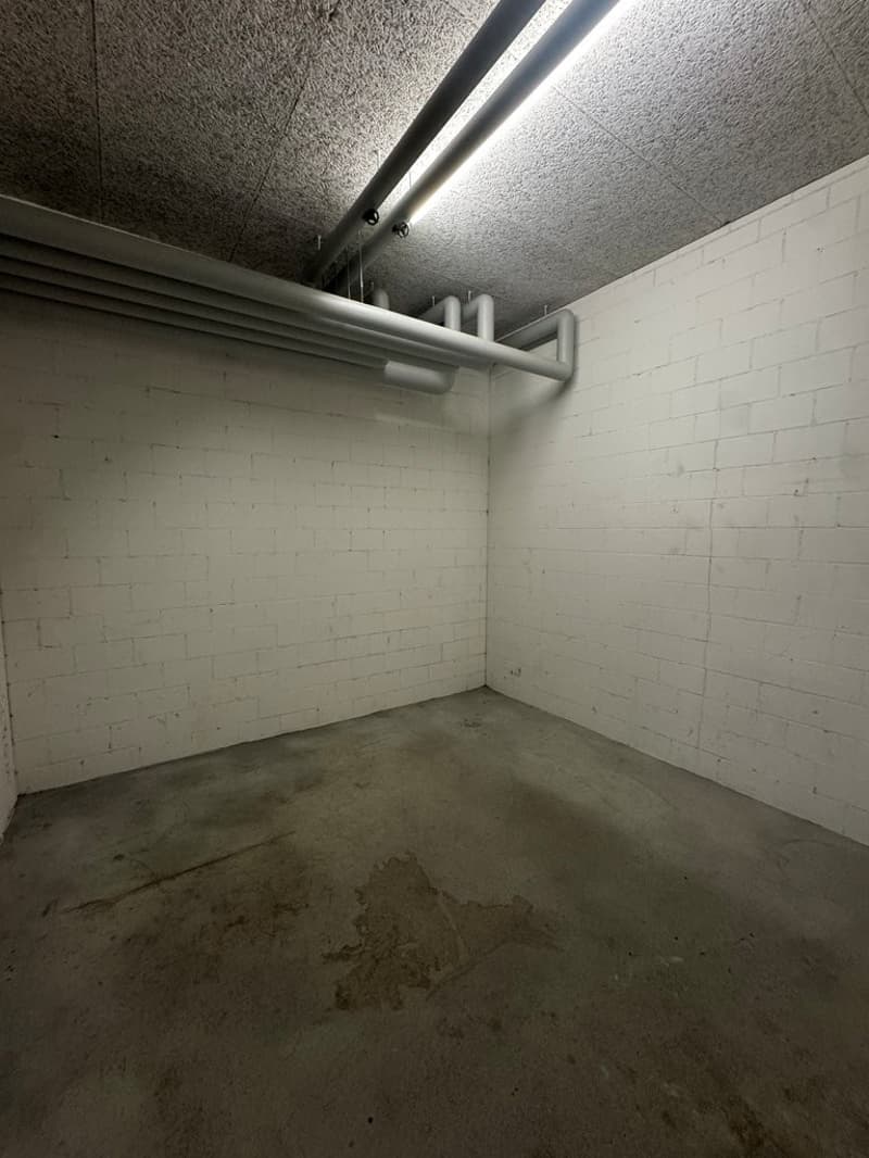 Bild_2.jpg