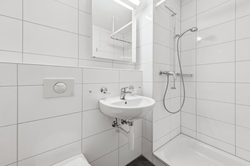 Willkommen zu Hause an der Herzogstrasse! (7)