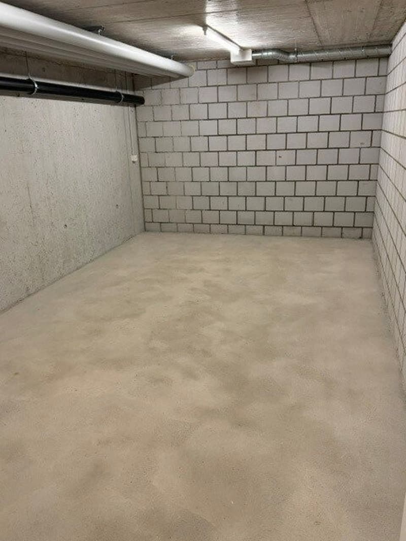 B1.jpg
