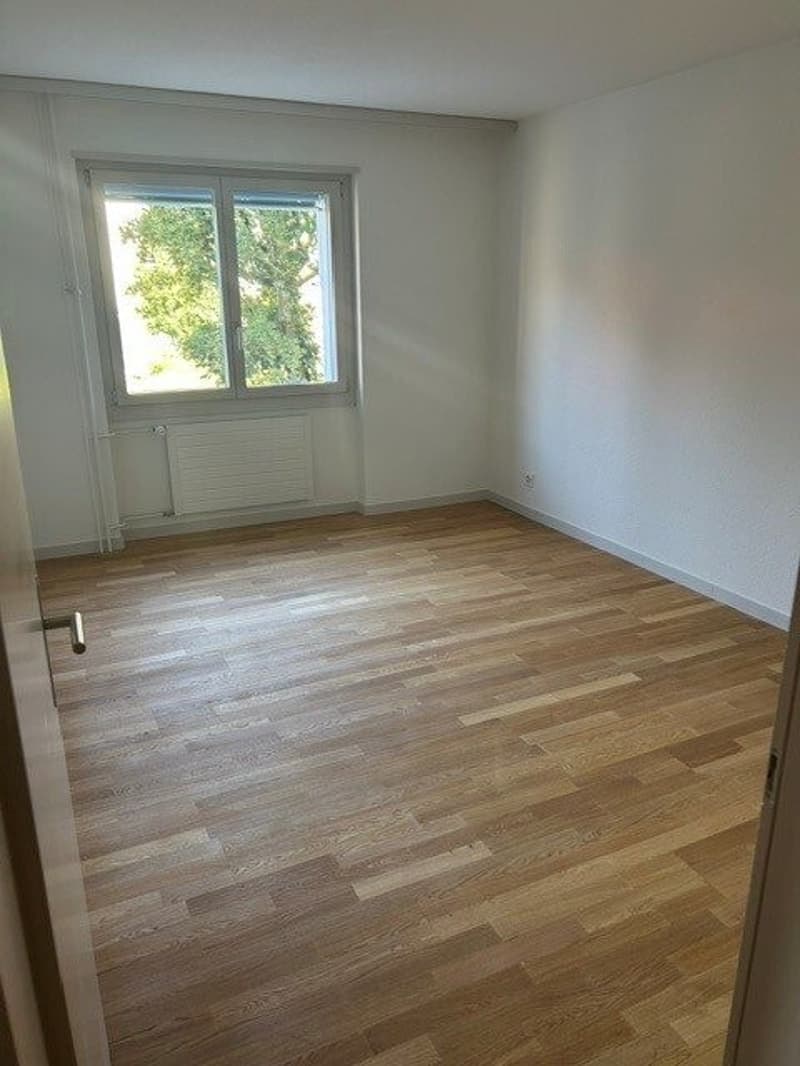 Bild11.jpg