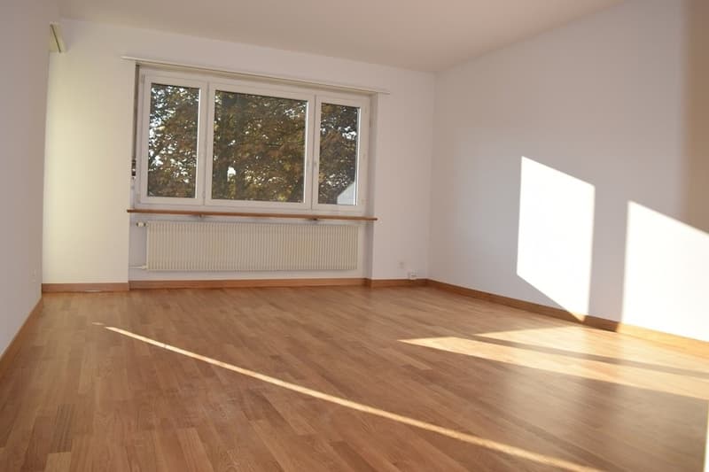 Zimmer