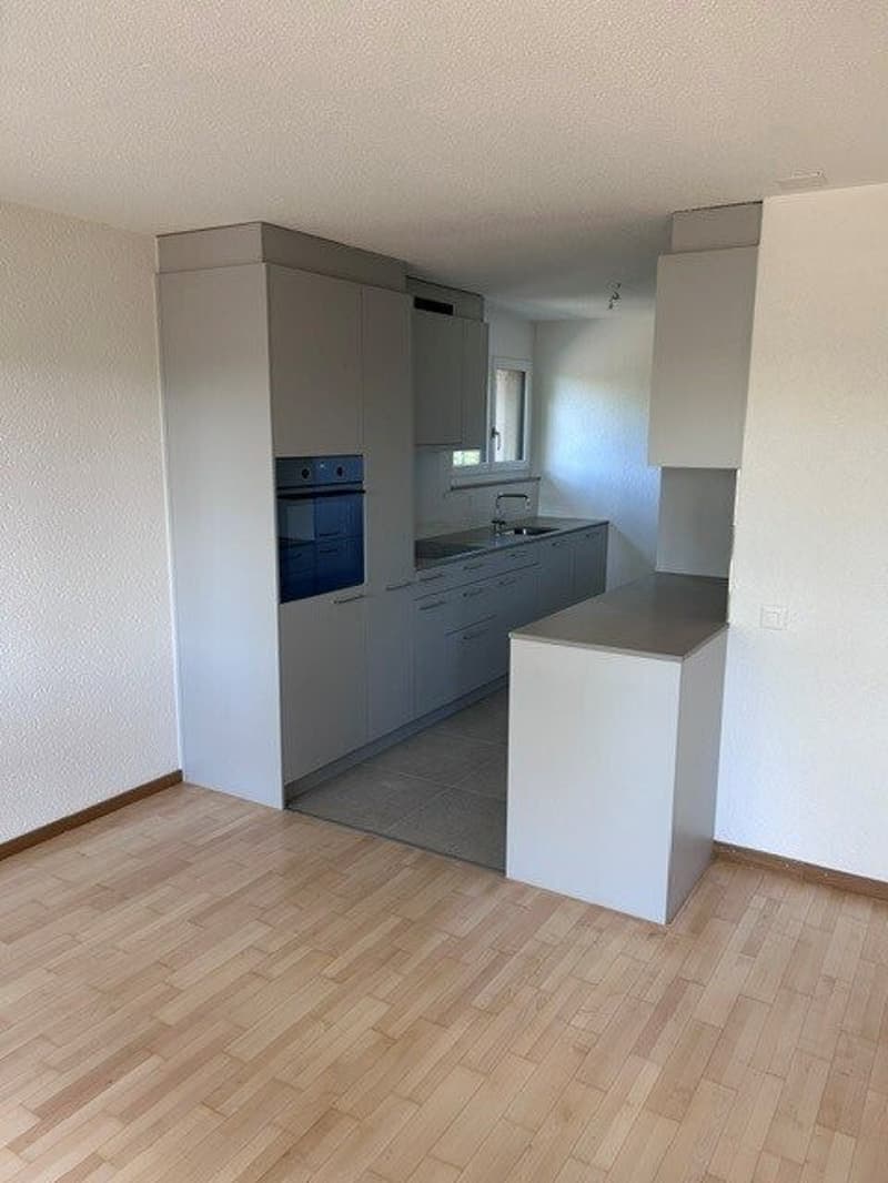 BIld49.jpg