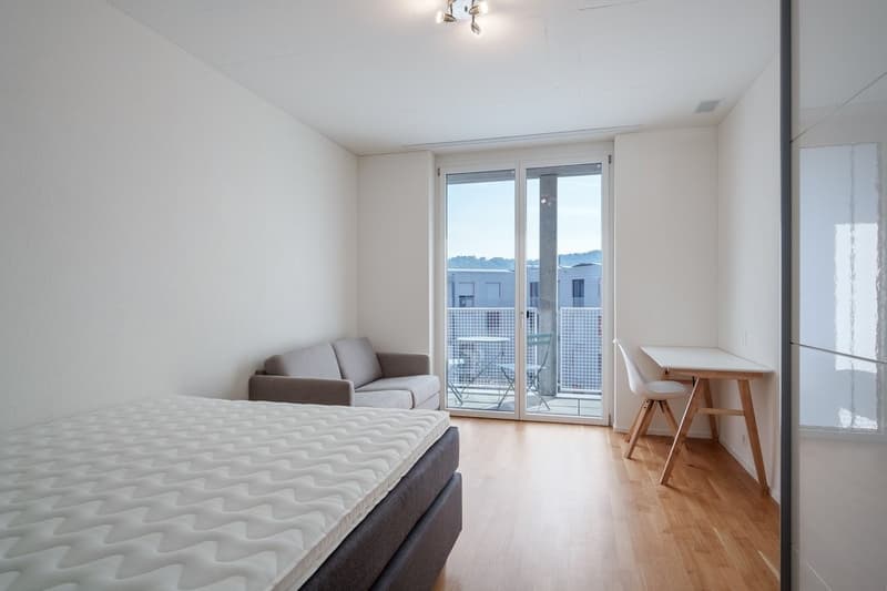 Wohn/Schlafzimmer