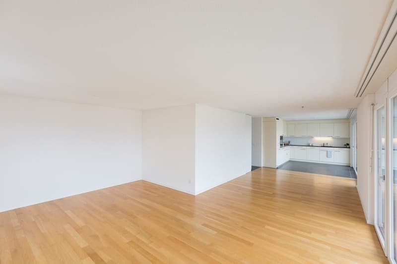 Wohnzimmer / Küche