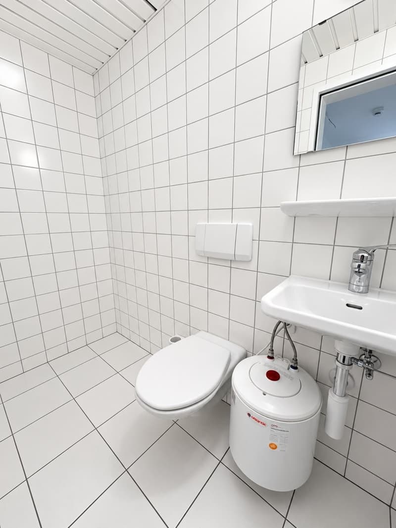Ladenfläche Nähe Stadtzentrum zu vermieten (8)