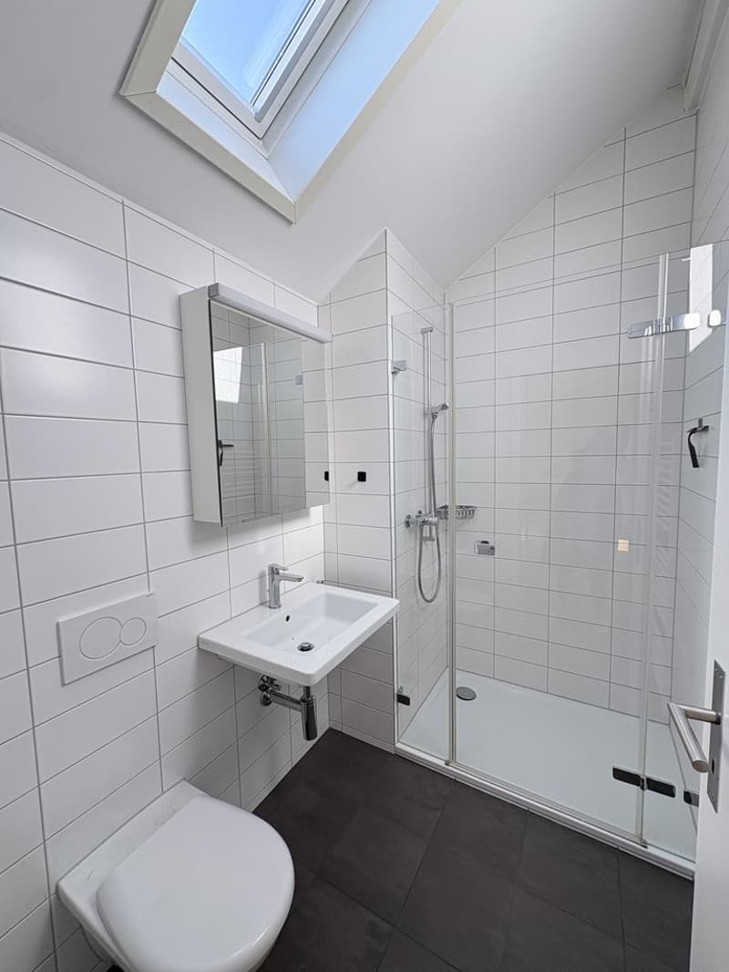 Wohnung sucht Single! (6)