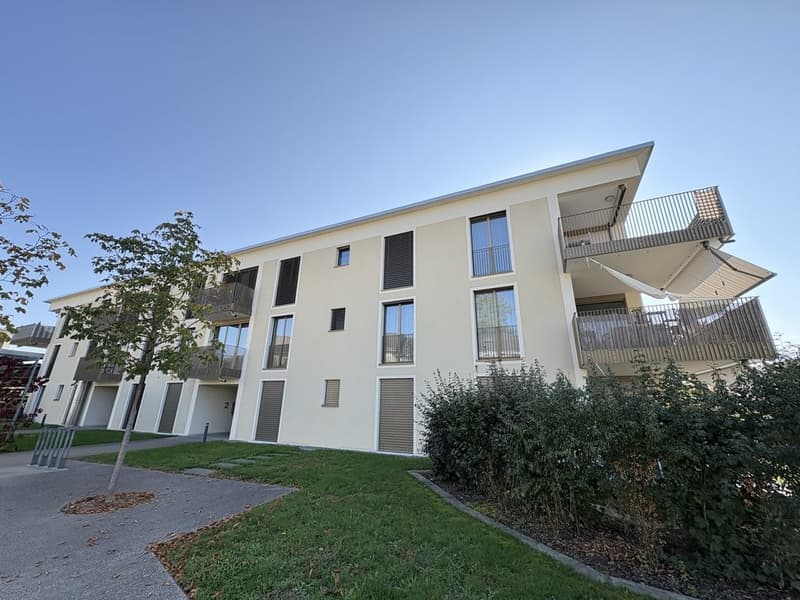 Charmante 2.0-Zimmer-Wohnung mit Gartensitzplatz in Roggwil (1)