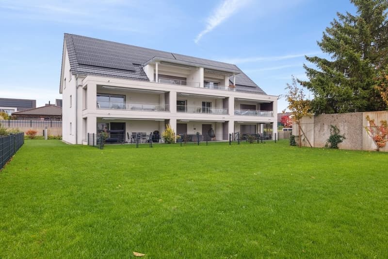 Charmante 3.5-Zimmer-Wohnung mit Gartensitzplatz in Oberbipp (1)