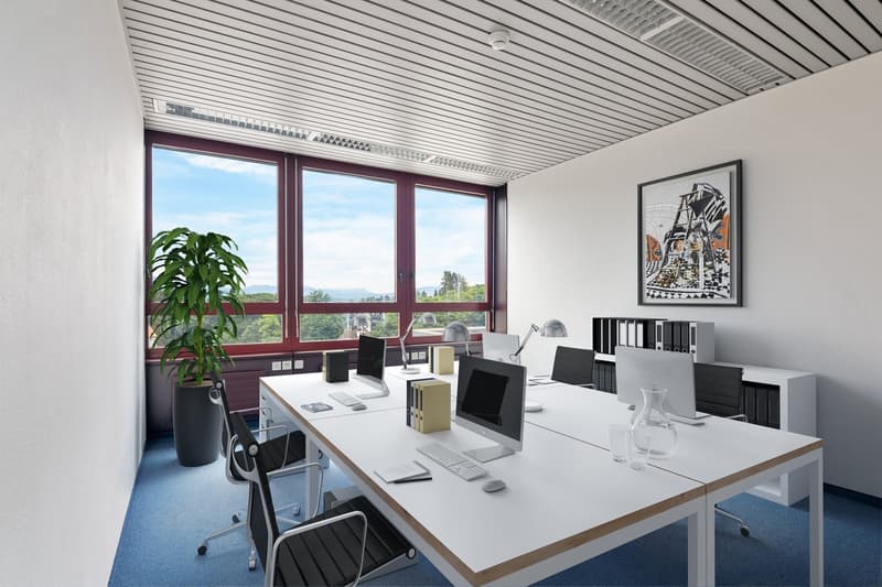 500 m² à louer au coeur de Nyon (5)