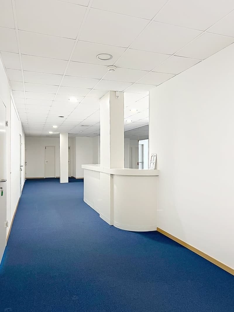 Büros mit viel Licht im Herzen von Nyon (3)
