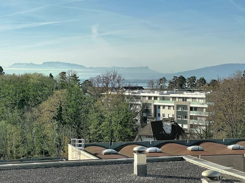 Büros mit viel Licht im Herzen von Nyon (6)