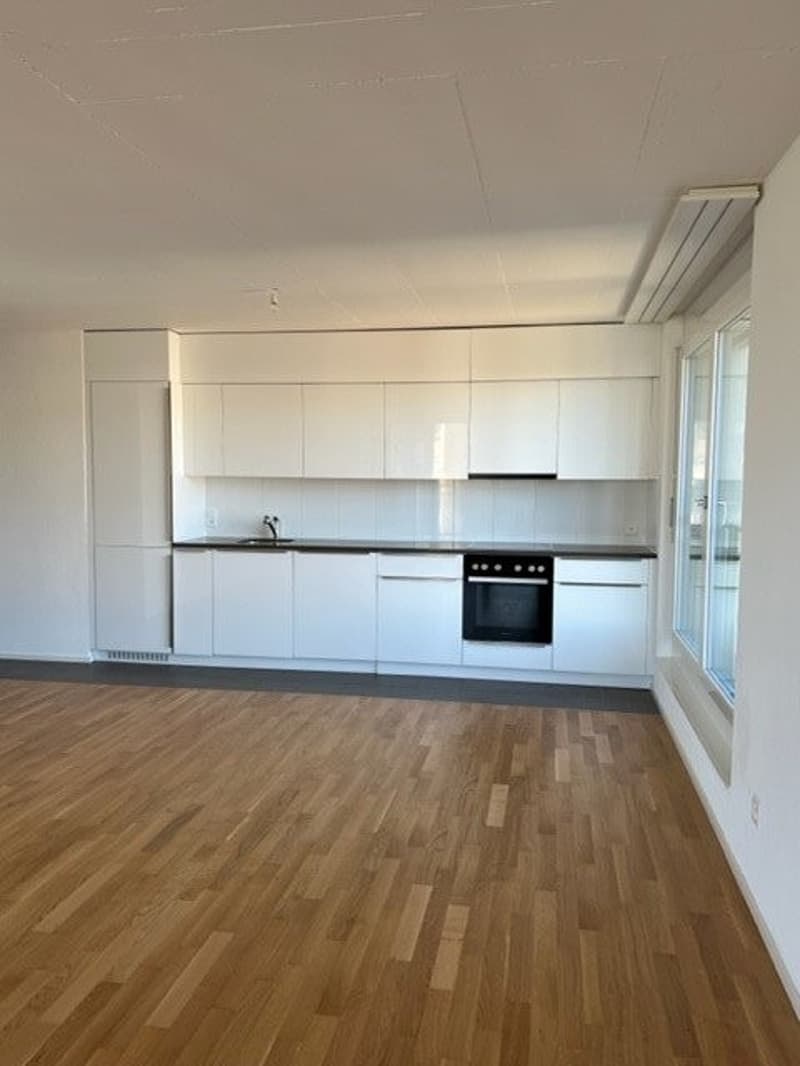 Einzigartige Gelegenheit! Schönes modernes Apartment in Freiburg! (4)