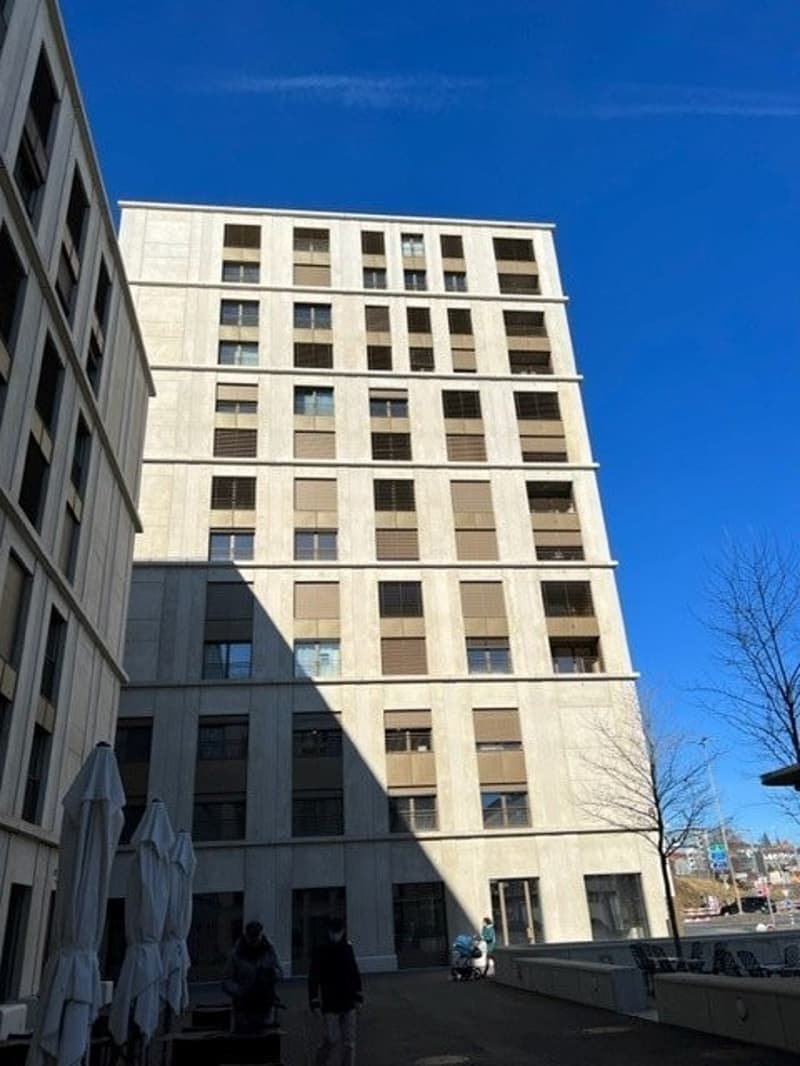 Einzigartige Gelegenheit! Schönes modernes Apartment in Freiburg! (1)