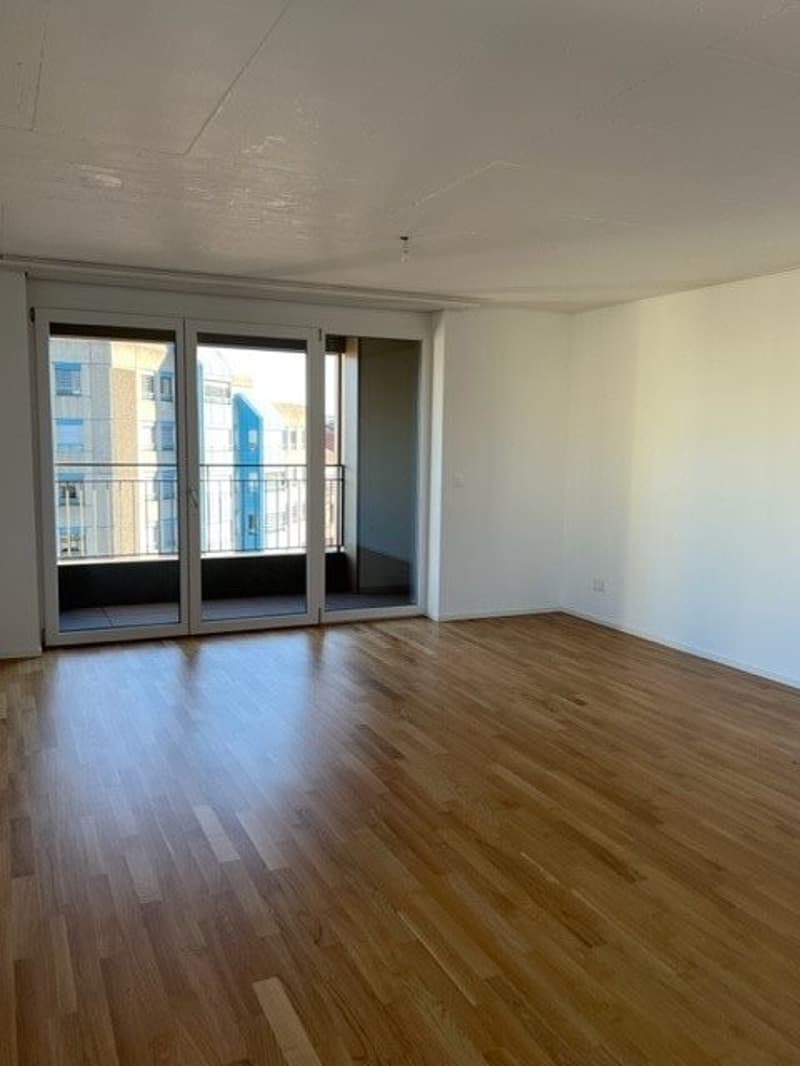 Einzigartige Gelegenheit! Schönes modernes Apartment in Freiburg! (3)
