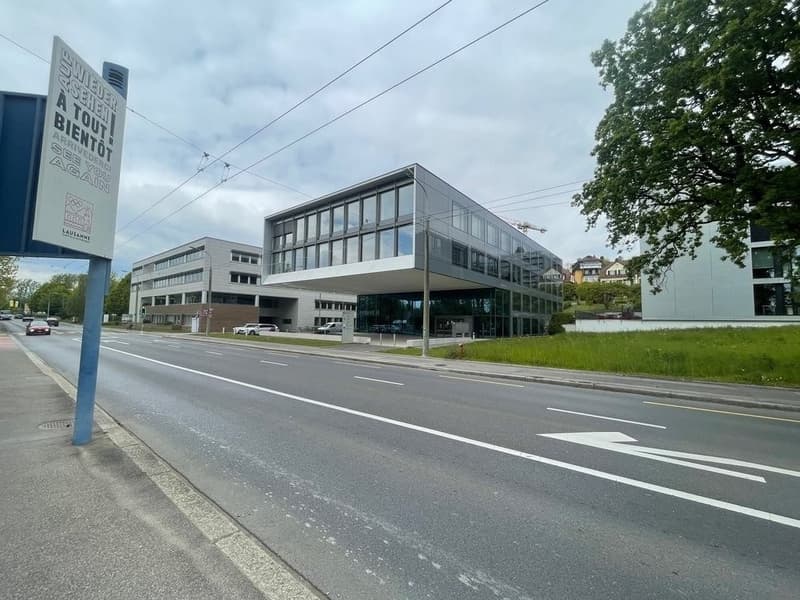 Rhodanie_58.png