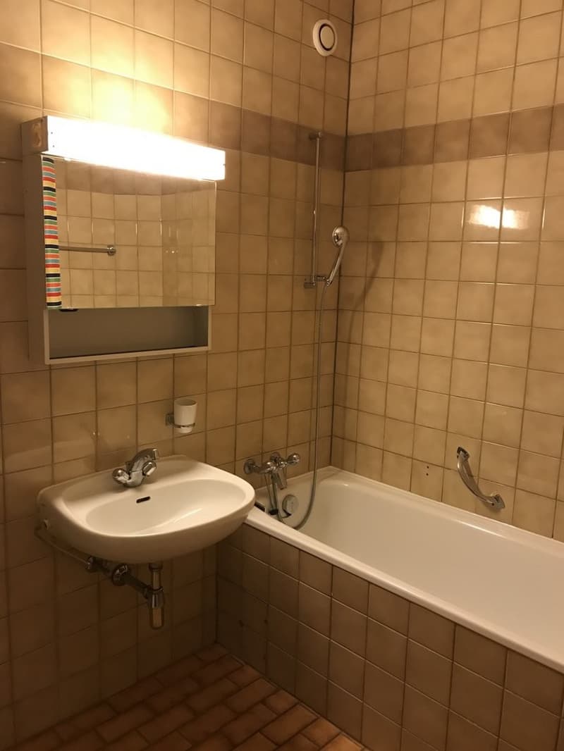 Zu vermieten - 2.5-Zimmer-Wohnung am Place Cornavin (4)