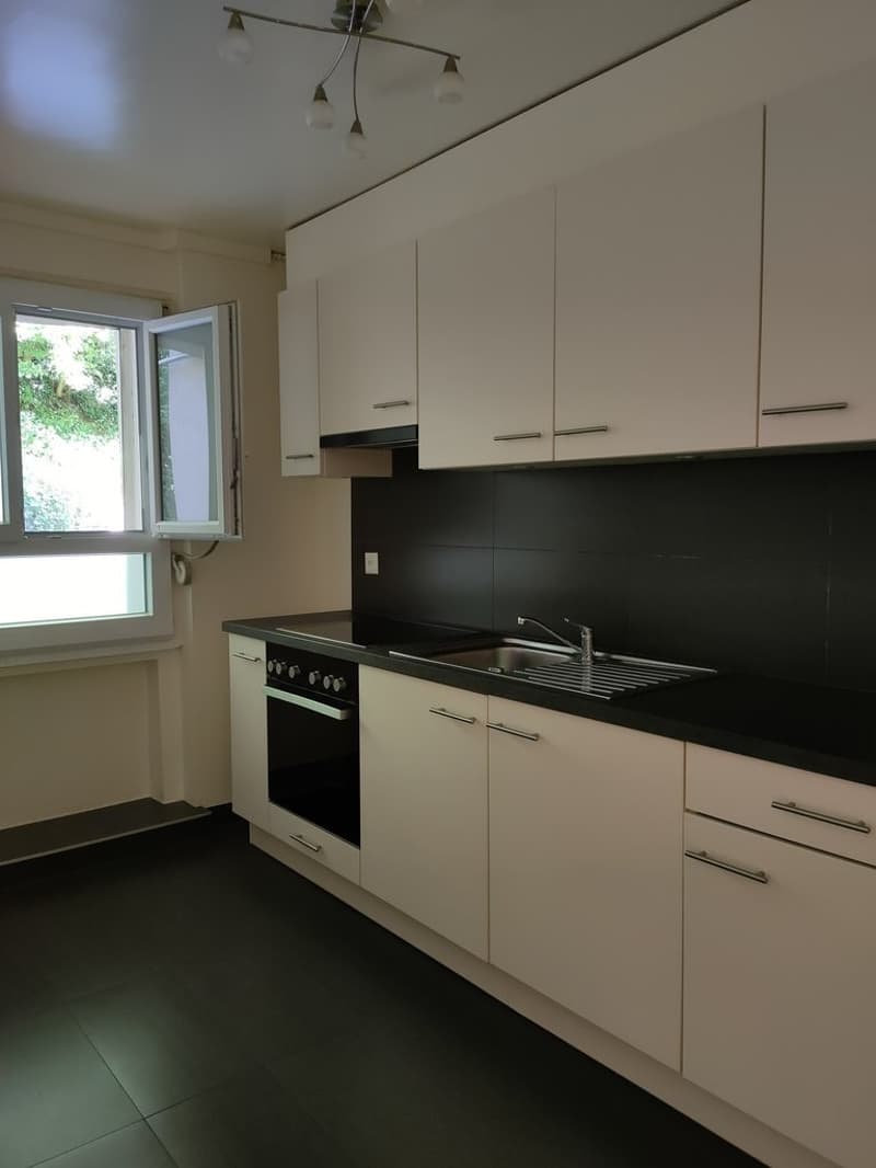 Not to be missed! Your apartment close to the Lausanne city center! (3)