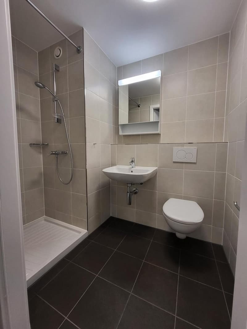 Salle_de_douche_b.jpg
