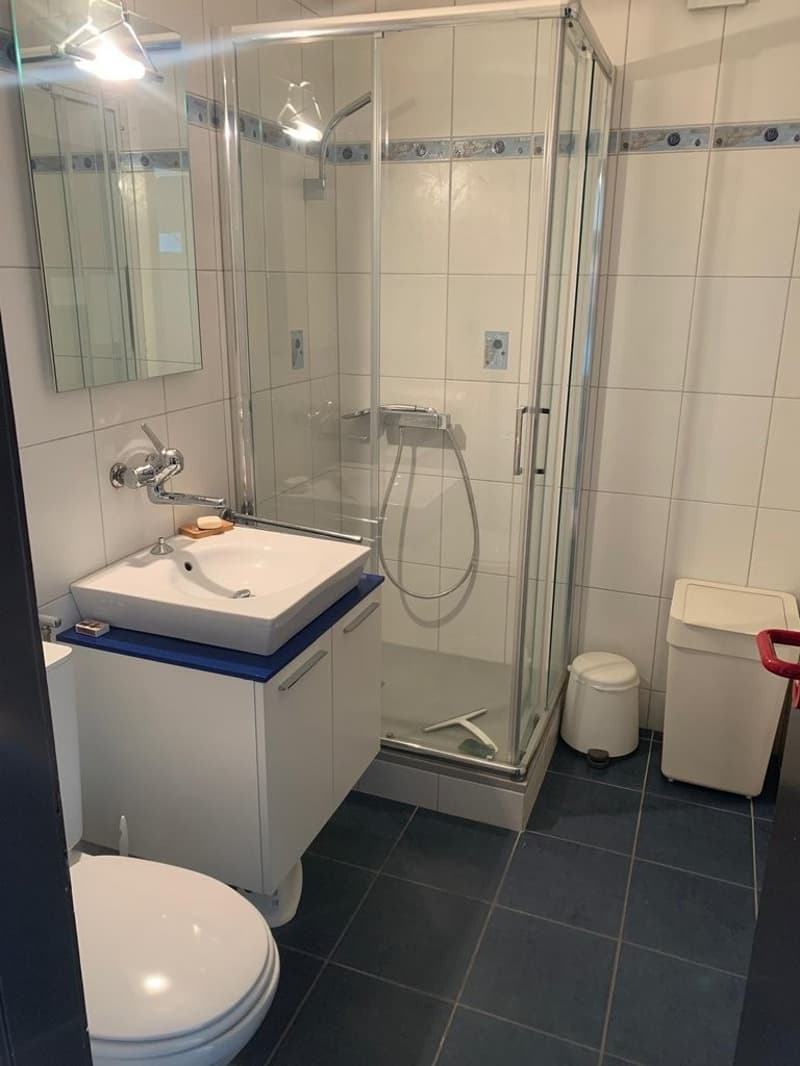 Salle_de_douche.jpg