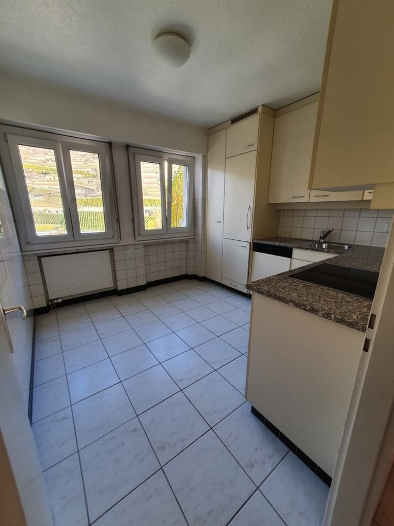 A saisir ! Lumineux appartement dans un quartier calme ! (3)