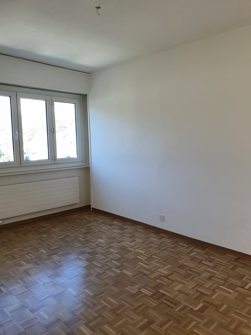 A saisir ! Lumineux appartement dans un quartier calme ! (6)