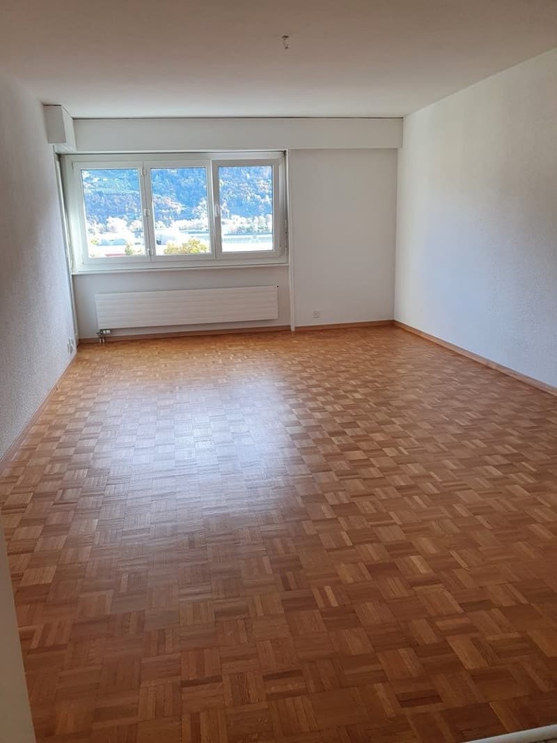 A saisir ! Lumineux appartement dans un quartier calme ! (2)