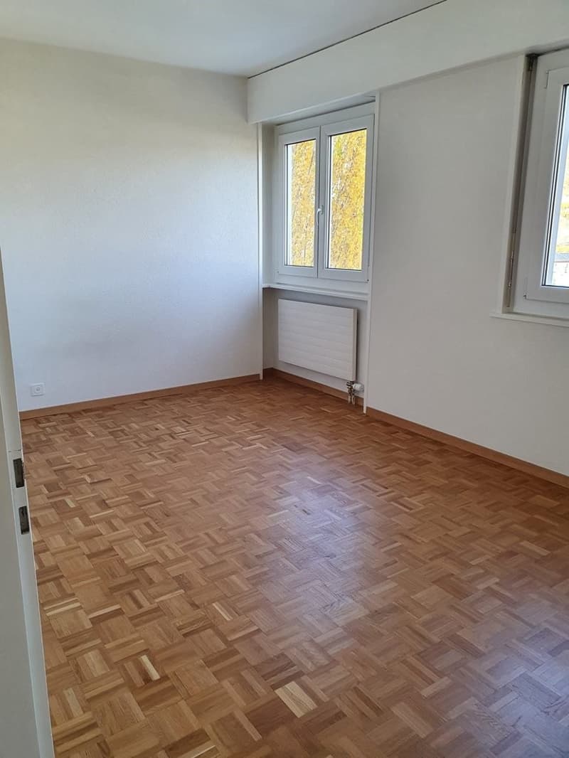 A saisir ! Lumineux appartement dans un quartier calme ! (5)