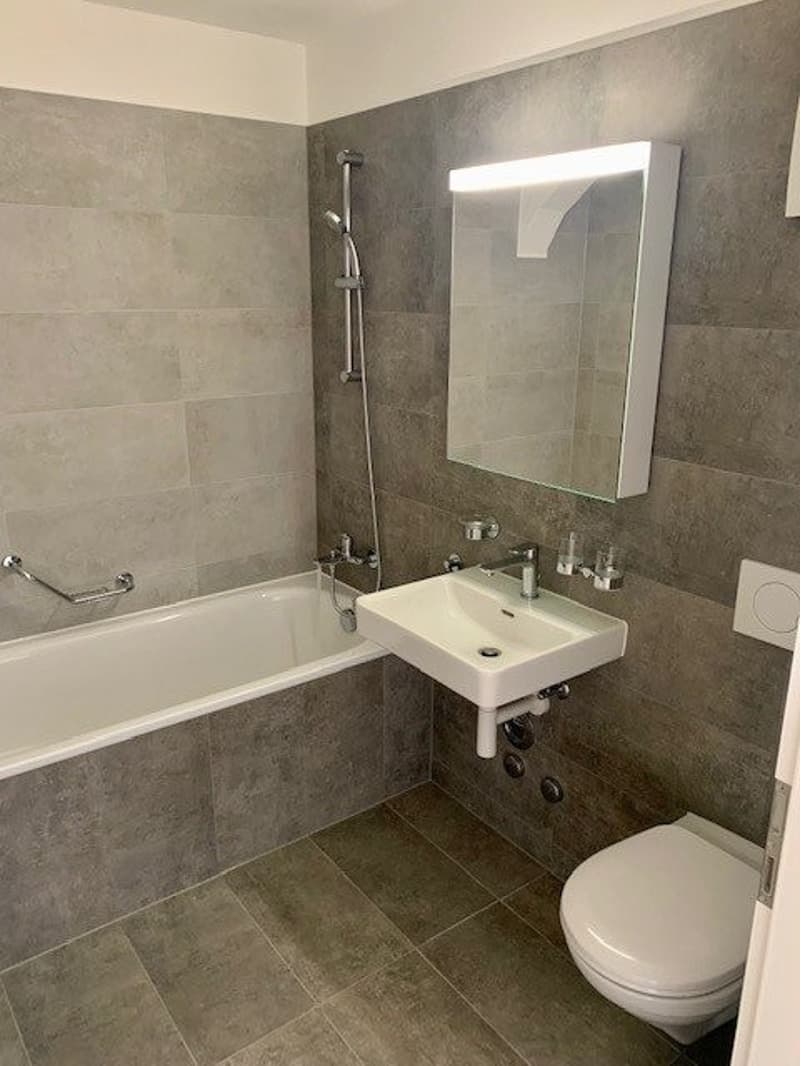 Magnifique loft avec mezzanine à Lausanne ! (5)