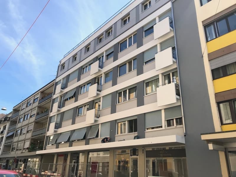 A saisir ! Magnifique logement à deux pas du lac ! (1)