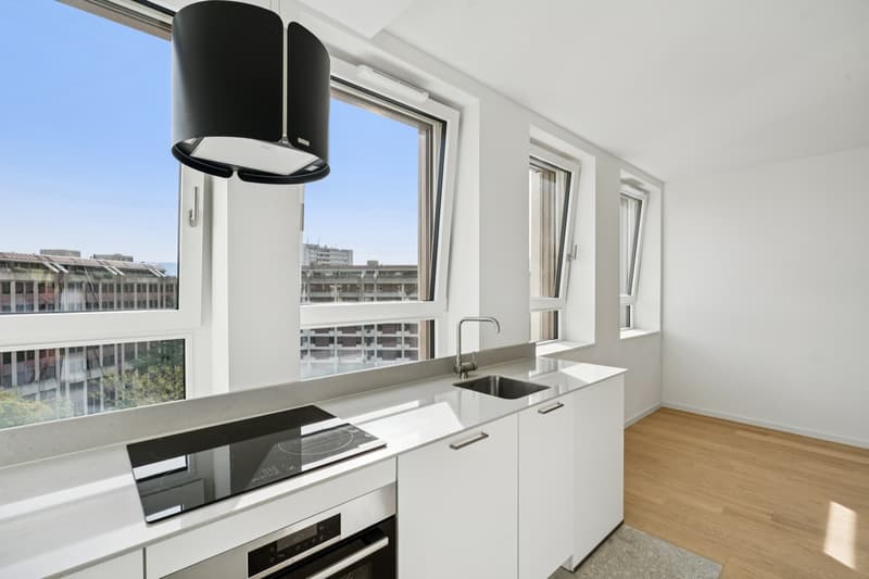 Logement meublé dans un nouvel immeuble résidentiel à Genève ! (6)