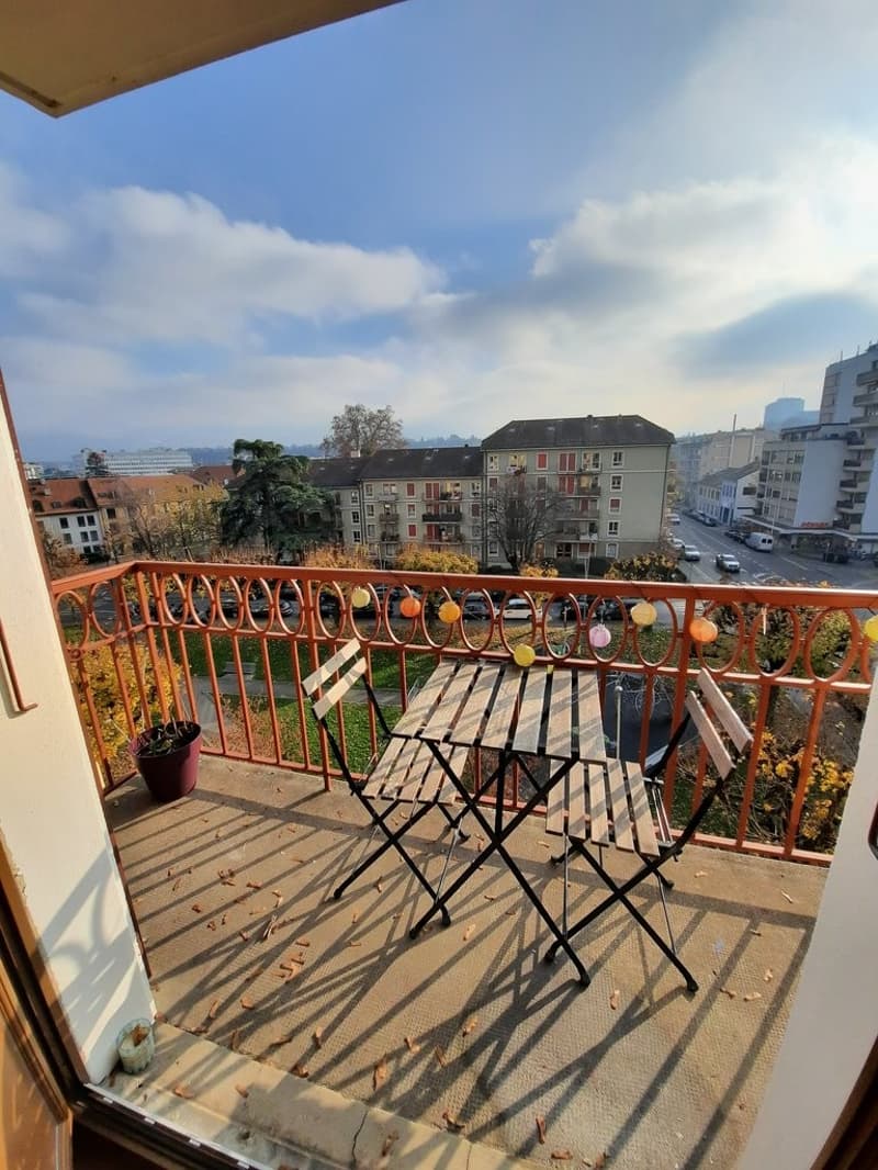A saisir ! Magnifique appartement à Carouge ! (6)