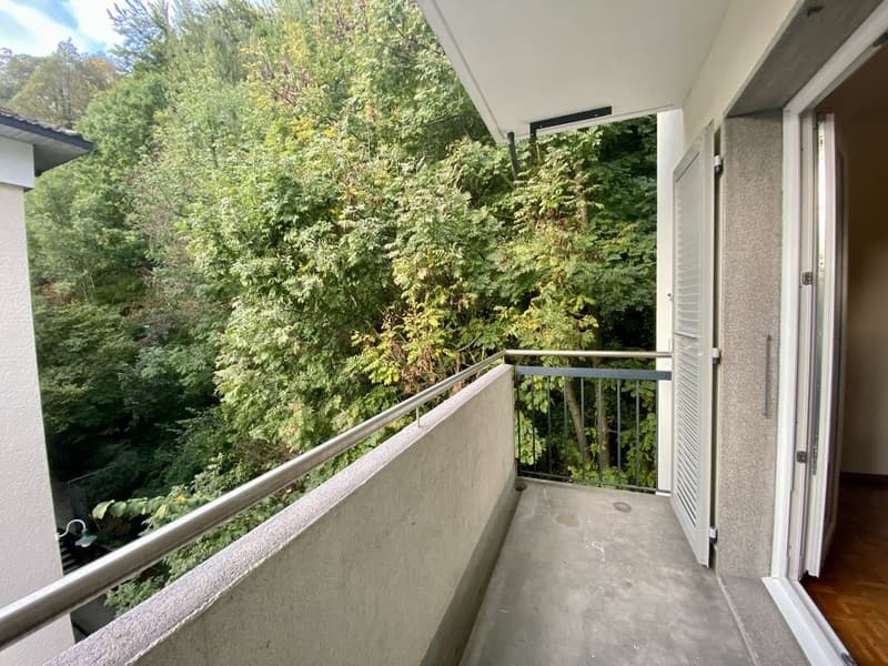 29041.01.430060_-_Balcon.jpeg