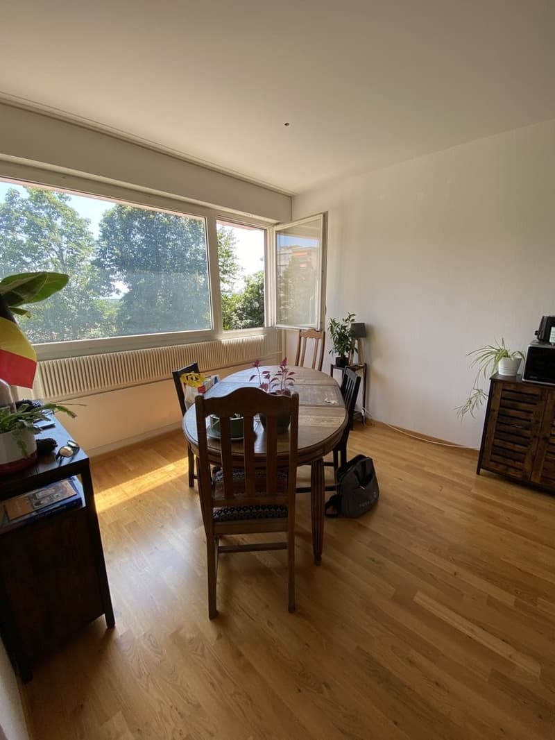 Salle_a_manger.JPG