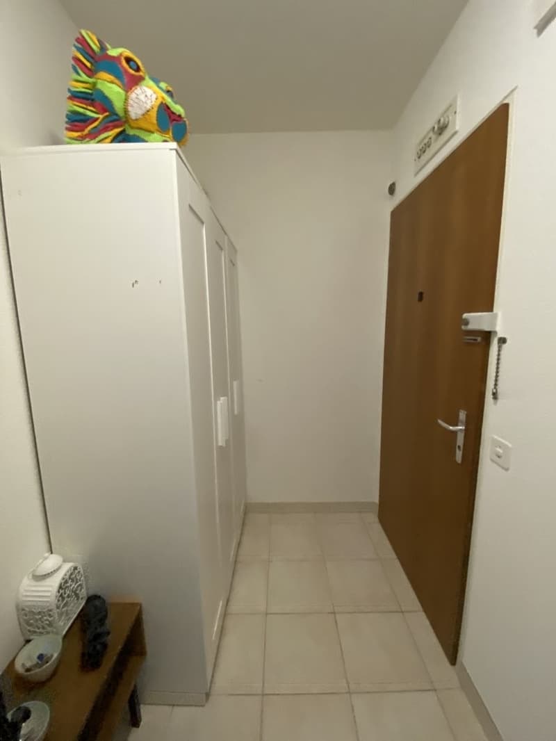 Hall_dentree.JPG