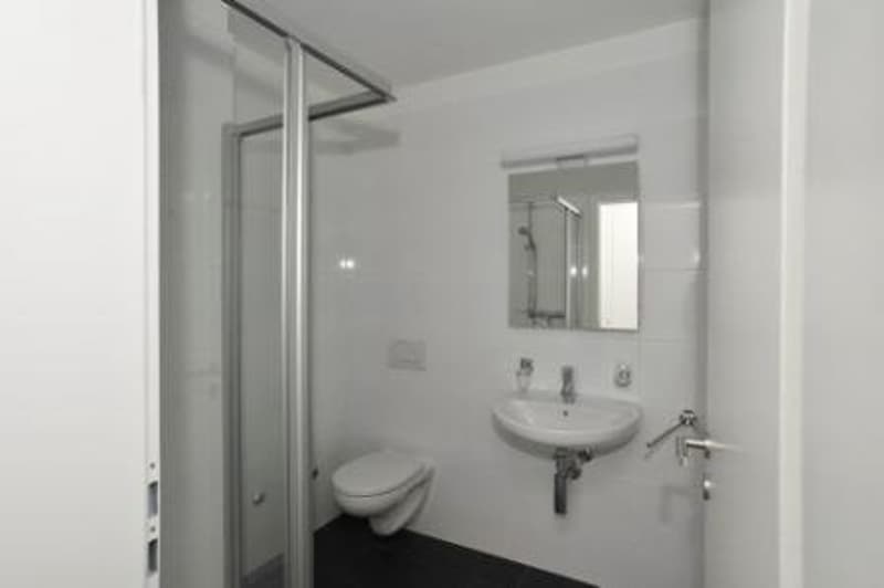 Spacious and bright 3.5-room apartment surrounded by greenery in Locarno (6)